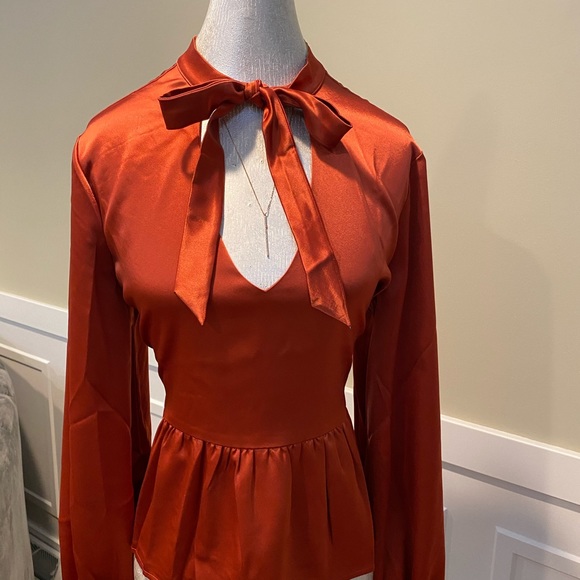 David Lerner NYC Necktie Blouse - Picture 6 of 7
